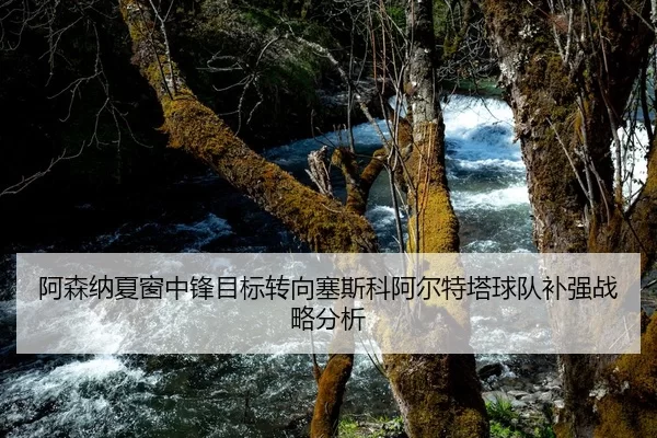 阿森纳夏窗中锋目标转向塞斯科阿尔特塔球队补强战略分析