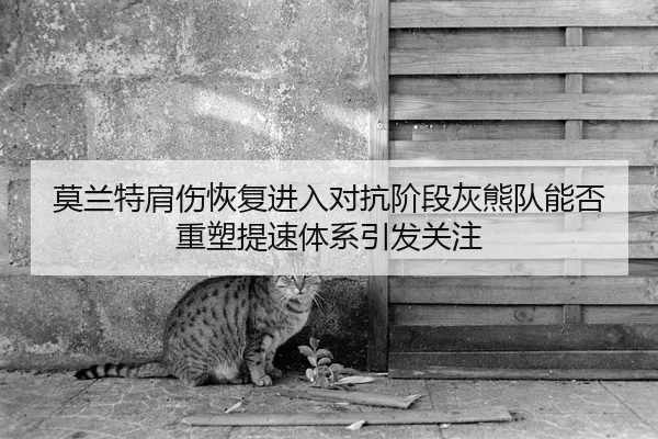 莫兰特肩伤恢复进入对抗阶段灰熊队能否重塑提速体系引发关注