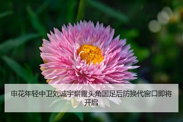shen-hua-nian-qing-zhong-wei-liu-cheng-yu-zhan-lu-tou-jiao-guo-zu-hou-fang-huan-dai-chuang-kou-ji-jiang-kai-qi-2-626.jpg