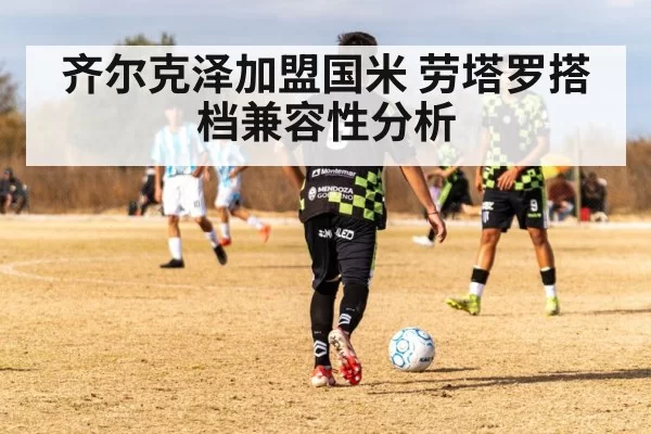 齐尔克泽加盟国米 劳塔罗搭档兼容性分析
