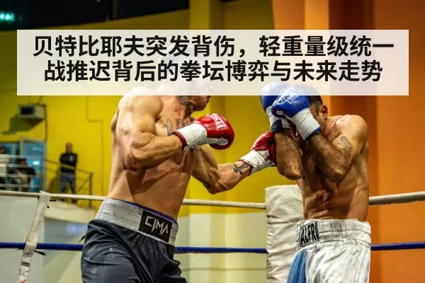 light heavyweight boxing